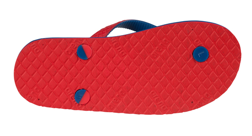 ARENA EDDY JUNIOR (001950)