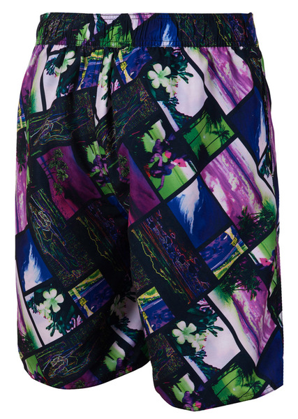 ARENA Шорты Tropic Long Bermuda (44859)