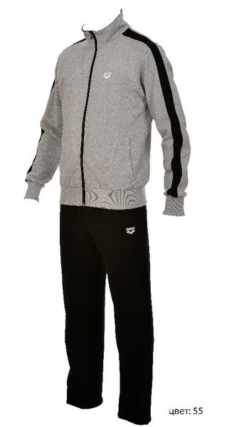 ARENA Спортивный костюм Essence F/Z tracksuit (1D148)