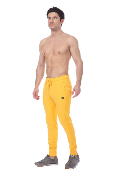 ARENA M GYM PANT (000953)